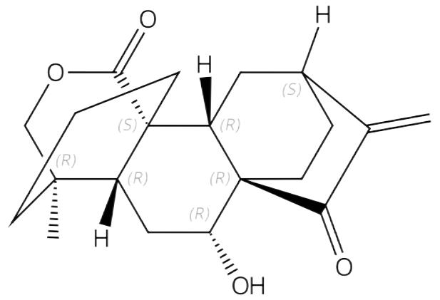 15-氧代绣线菊内酯