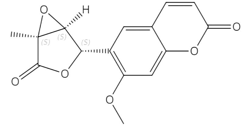 小芸木素