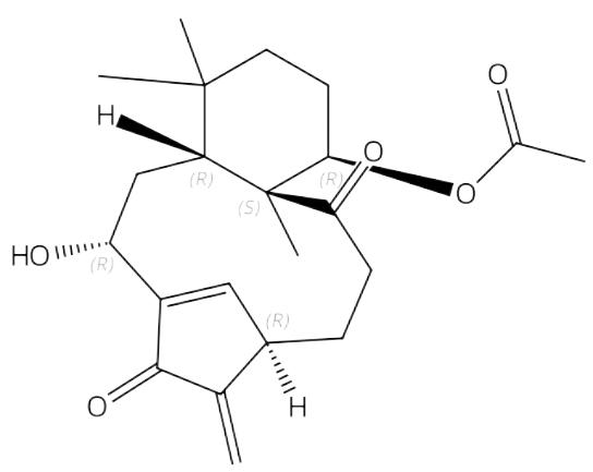 Kongensin A