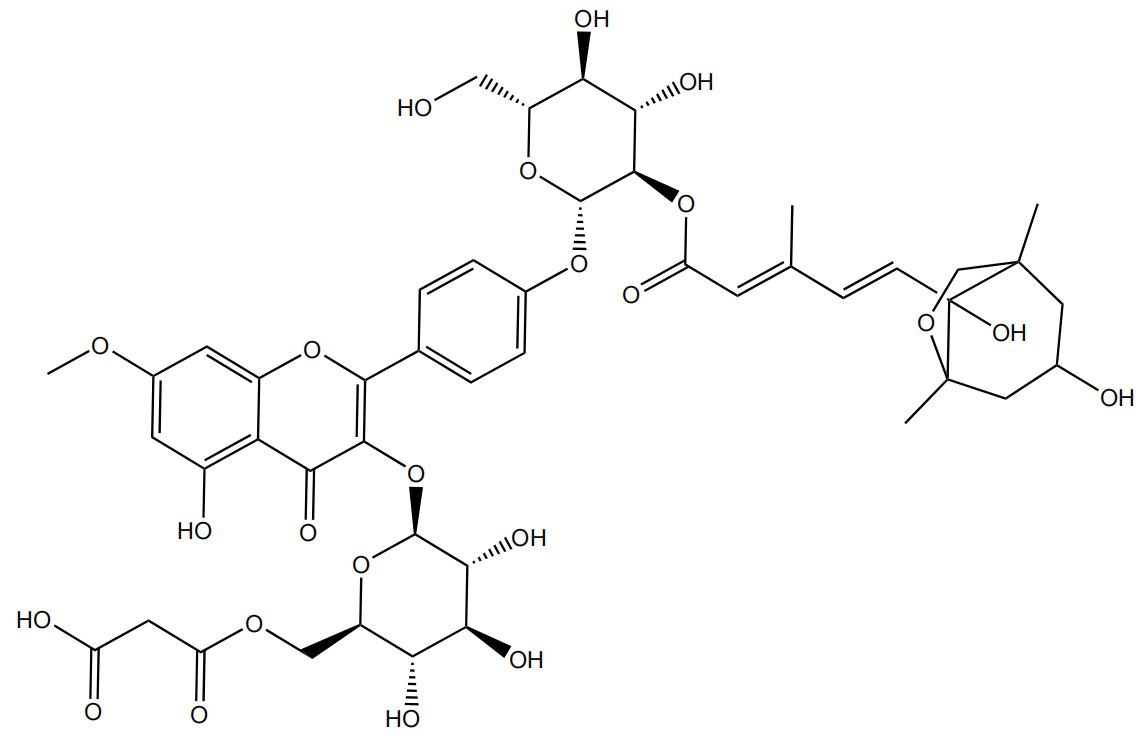 鼠李柠檬素-3-O-（6'''-O-丙二酸）-β-D-吡喃葡萄糖-（2''-O-二氢红花菜豆酰）-4'-O-β-D-吡喃葡萄糖苷