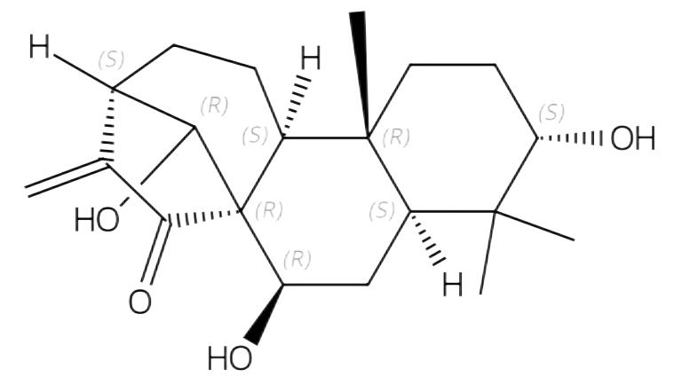 王枣子甲素