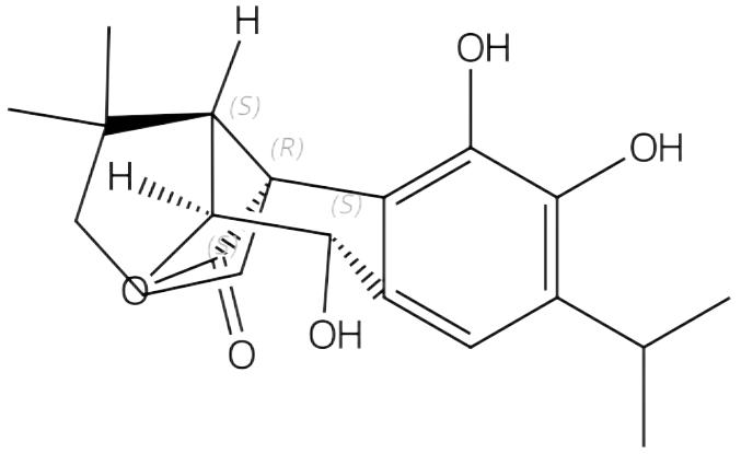 迷迭香酚