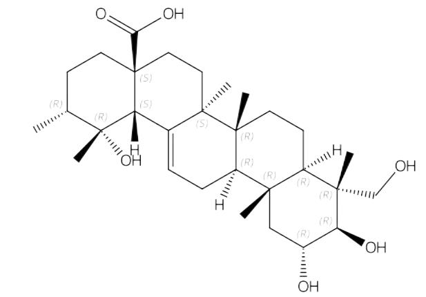 23-羟基委陵菜酸