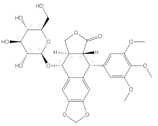 鬼臼毒素-4-O-葡萄糖苷