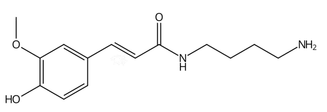 阿魏酰丁二胺